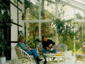 Зимний сад как бизнес идея