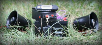 Продажа манков как бизнес