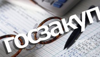 ИП не может принять участие в госзакупках