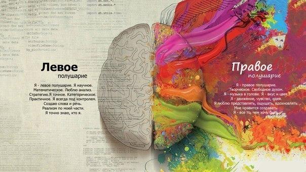 Правополушарное рисование как бизнес