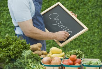 Как заработать на продаже органических продуктов