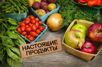 Продажа продуктов из деревни: бизнес на экологически чистых товарах