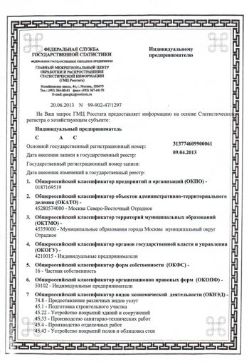 Выписка из Росстата для ИП 