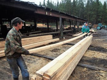 Учет леса через ЕГАИС