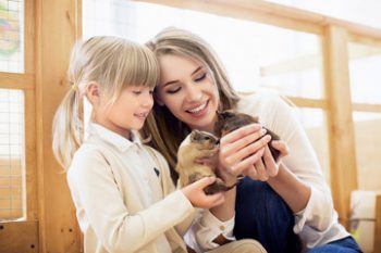 Контактный зоопарк