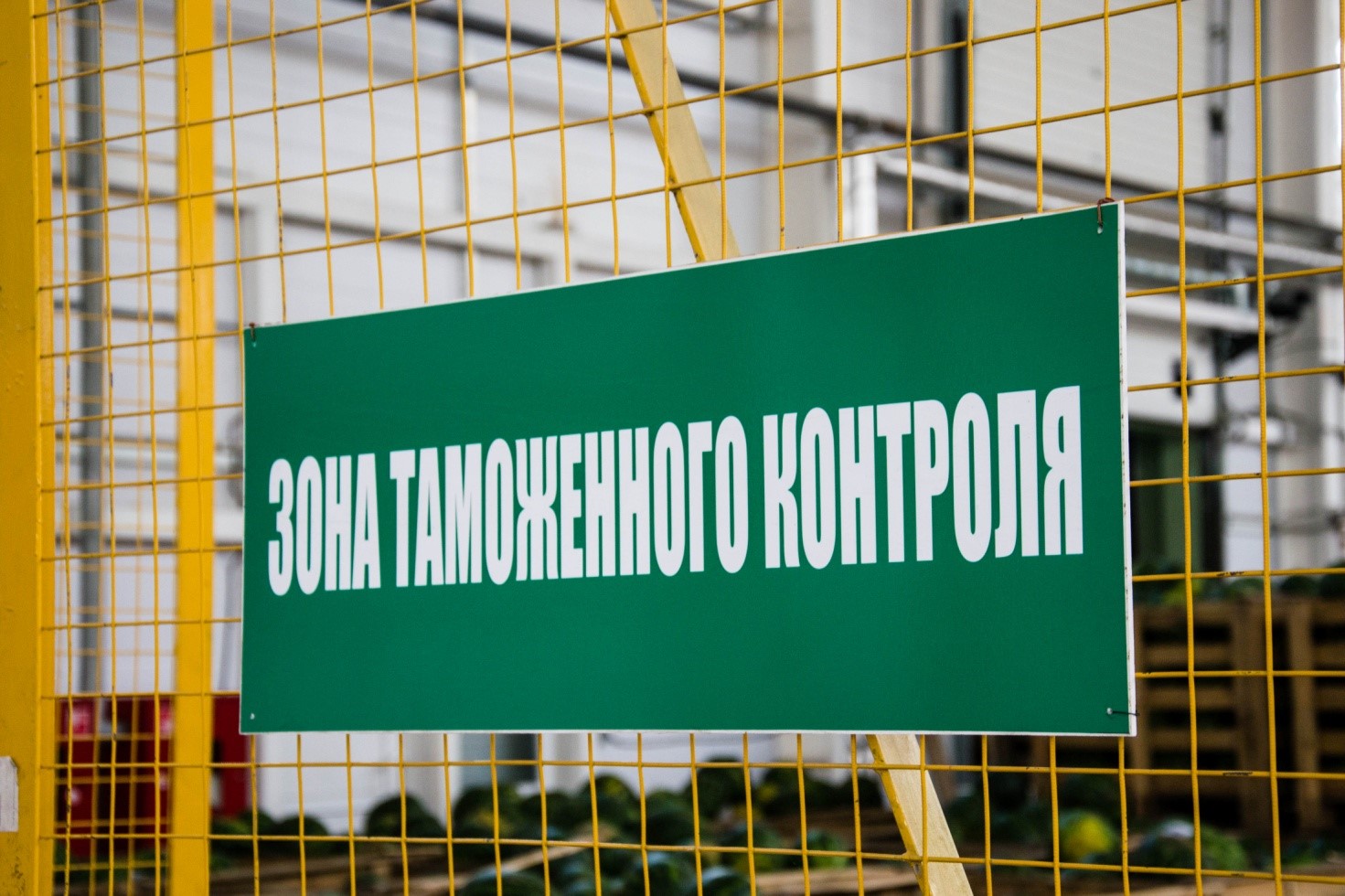 Зона таможенного контроля