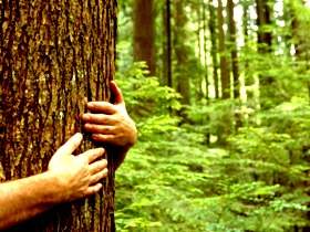 Экологический туризм