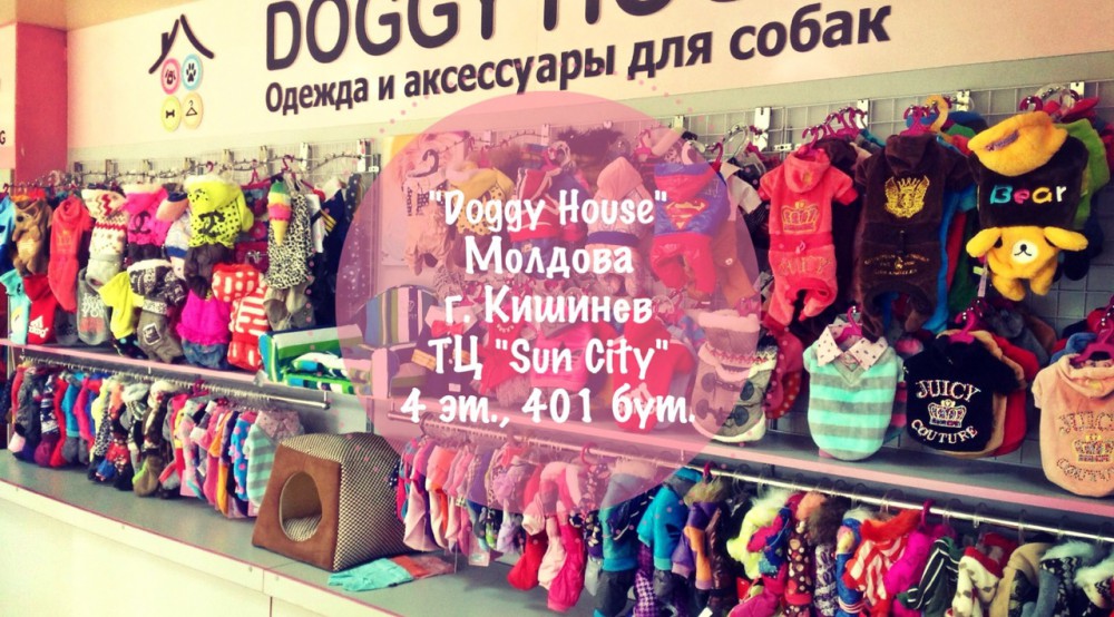 Пример внутреннего вида магазина одежды и аксессуаров для собак.
