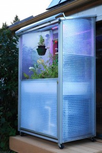 Теплица на балконе