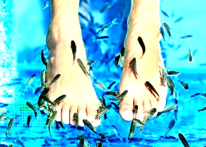 Пилинг рыбками