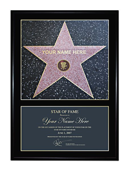 Hollywood walk of fame star