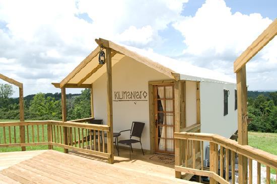 Turpentine Creek hotel unique