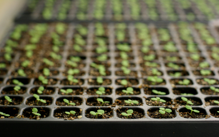 2 месяца принесут около 2 млн. рублей выручки 2 месяца принесут около 2 млн. рублей выручки