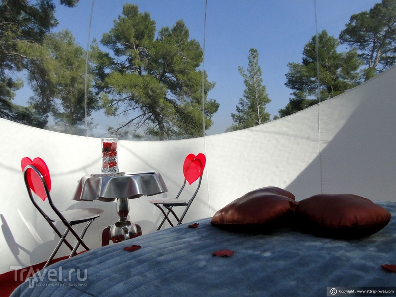 Романтическая ночь под открытым небом