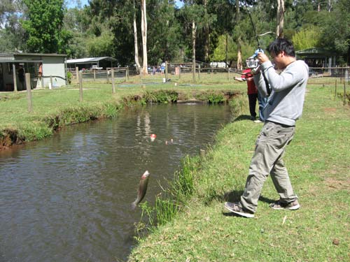 Как организовать пруд для платной рыбалки? Как организовать пруд для платной рыбалки?