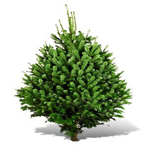 cff14ee7e6e075ab6ee6ca5a0cdfb07d