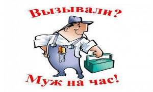 Бизнес-план фирмы «Муж на час»