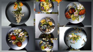 продажа растений в прозрачных ёмкостях разнообразных форм