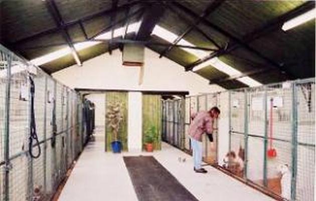 Помещение для открытия питомника кошек и собак Помещение для открытия питомника кошек и собак