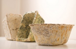 Емкости из мицелия