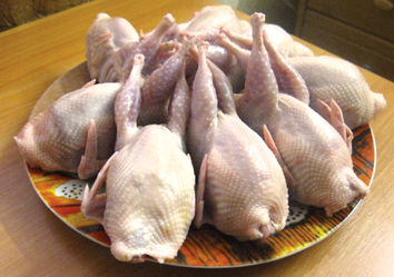 Основной причиной развития этого бизнеса становится мясо индеек