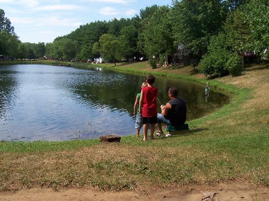 Водоемы для рыбалки можно купить, взять в долгосрочную аренду или же создать его самому с нуля