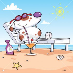 В гостиницу с животными