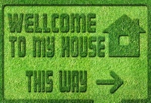 Фигурная стрижка газонов