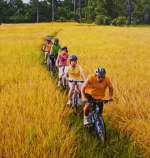 Велотуры 2014