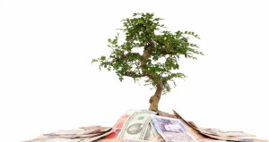 Ищем возможность выгодно взять кредит для создания своего малого бизнеса