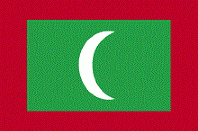 maldivy