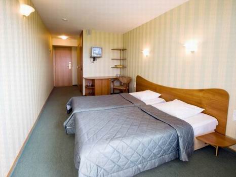 Пансионат должен окупить себя максимум в течение года Пансионат должен окупить себя максимум в течение года