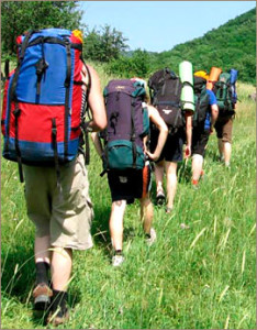 Оптимальное количество человек в составе группы